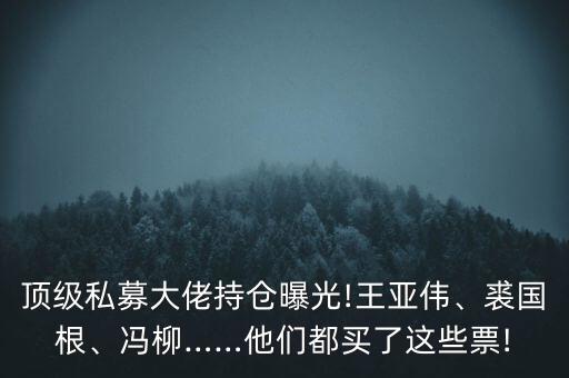 頂級私募大佬持倉曝光!王亞偉、裘國根、馮柳……他們都買了這些票!