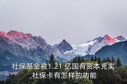 社?；鸨?.21 億國有資本充實,社?？ㄓ性鯓拥墓δ? class=