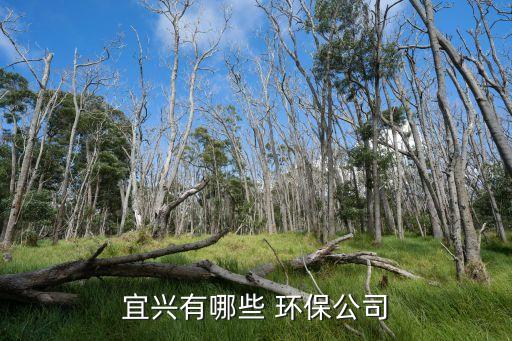 華儀環(huán)保有限公司招聘簡章,陜西中鑫融泰環(huán)?？萍加邢薰菊衅负喺?/></a></span><span id=