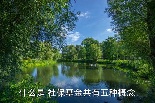 什么是 社?；鸸灿形宸N概念