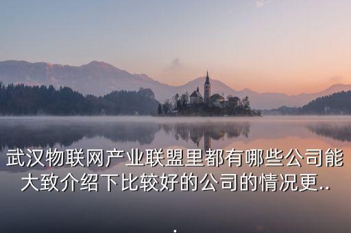 武漢物聯網產業(yè)聯盟里都有哪些公司能大致介紹下比較好的公司的情況更...