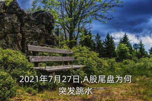 2021年7月27日,A股尾盤(pán)為何突發(fā)跳水