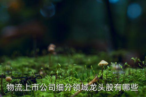 物流上市公司細分領(lǐng)域龍頭股有哪些