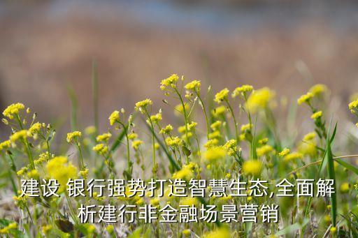 建設(shè) 銀行強(qiáng)勢打造智慧生態(tài),全面解析建行非金融場景營銷