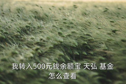 我轉(zhuǎn)入500元錢(qián)余額寶 天弘 基金怎么查看