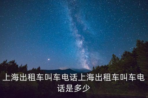上海強(qiáng)生舒樂(lè)出租汽車(chē)有限公司
