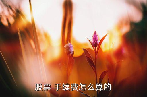 證券公司手續(xù)費(fèi),那個證券公司的交易手續(xù)費(fèi)低一點