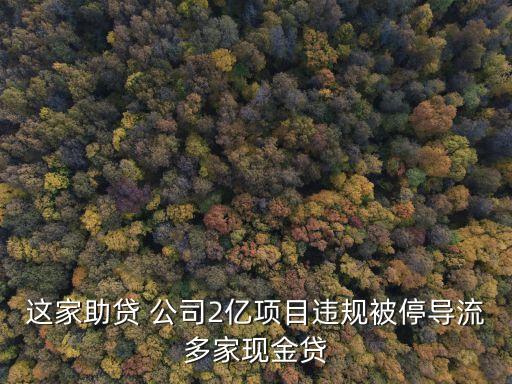 這家助貸 公司2億項目違規(guī)被停導流多家現金貸