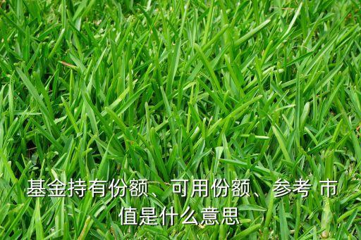  基金持有份額、可用份額、參考 市值是什么意思