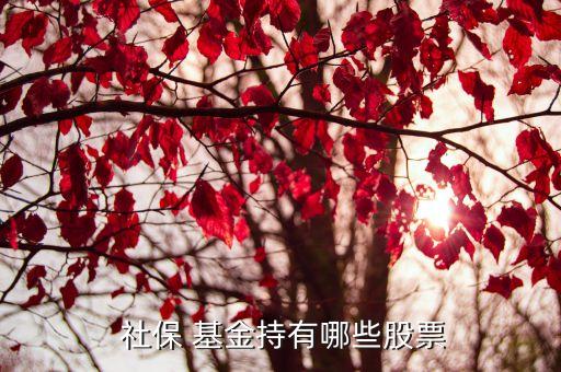 社?；鹚囊蝗M合,全國社?；鹚囊蝗M合最新持股明細(xì)