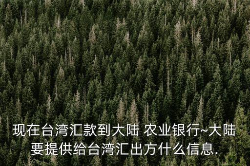 現(xiàn)在臺灣匯款到大陸 農業(yè)銀行~大陸要提供給臺灣匯出方什么信息.