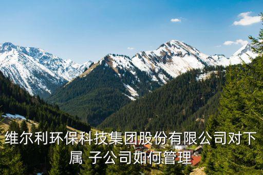 維爾利環(huán)?？萍技瘓F(tuán)股份有限公司對下屬 子公司如何管理