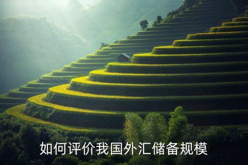 如何評價(jià)我國外匯儲備規(guī)模