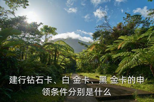 建行鉆石卡、白 金卡、黑 金卡的申領條件分別是什么