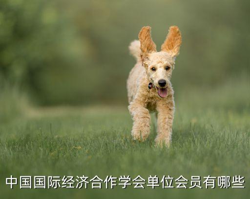 中國國際經(jīng)濟合作學會單位會員有哪些