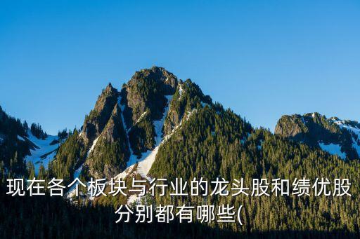 現在各個板塊與行業(yè)的龍頭股和績優(yōu)股分別都有哪些(