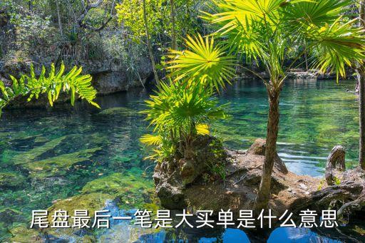  尾盤(pán)最后一筆是大買單是什么意思