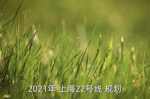 2021年 上海22號(hào)線(xiàn) 規(guī)劃