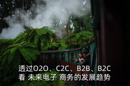透過O2O、C2C、B2B、B2C看 未來電子 商務(wù)的發(fā)展趨勢