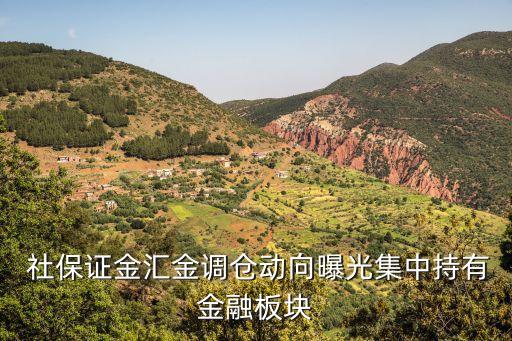 全國(guó)社保基金101組合,社?；?01組合最新持股