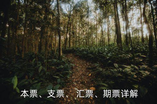  本票、支票、 匯票、期票詳解
