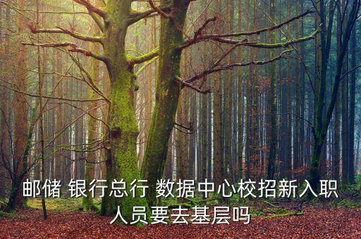 郵儲 銀行總行 數(shù)據中心校招新入職人員要去基層嗎