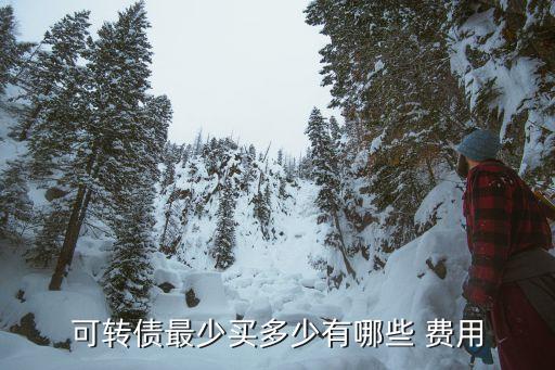 發(fā)行可轉(zhuǎn)換公司債券的交易費(fèi)用,可轉(zhuǎn)換公司債券的交易費(fèi)用計入什么科目