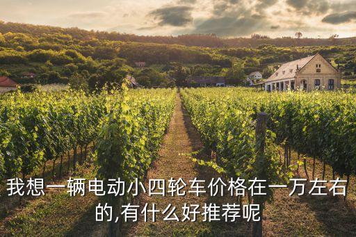 我想一輛電動(dòng)小四輪車價(jià)格在一萬(wàn)左右的,有什么好推薦呢