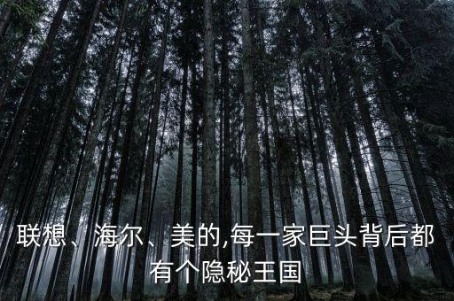 聯(lián)想、海爾、美的,每一家巨頭背后都有個隱秘王國