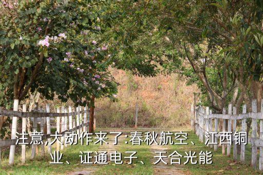 注意,大動作來了:春秋航空、江西銅業(yè)、證通電子、天合光能