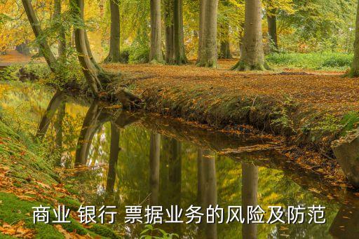 商業(yè) 銀行 票據業(yè)務的風險及防范