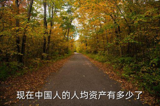 現在中國人的人均資產有多少了