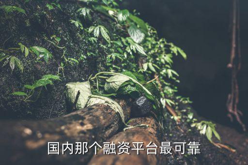 國內(nèi)那個(gè)融資平臺最可靠