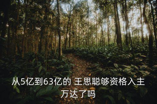 陳湘宇賣(mài)股票給王思聰