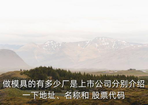 做模具的有多少廠是上市公司分別介紹一下地址、名稱和 股票代碼