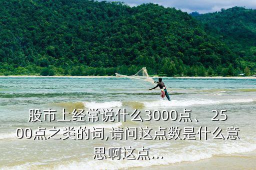 股市上經(jīng)常說什么3000點(diǎn)、 2500點(diǎn)之類的詞,請(qǐng)問這點(diǎn)數(shù)是什么意思啊這點(diǎn)...