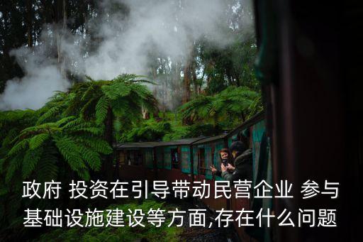 政府 投資在引導(dǎo)帶動(dòng)民營(yíng)企業(yè) 參與基礎(chǔ)設(shè)施建設(shè)等方面,存在什么問題