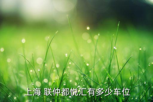  上海 聯(lián)仲都悅匯有多少車(chē)位