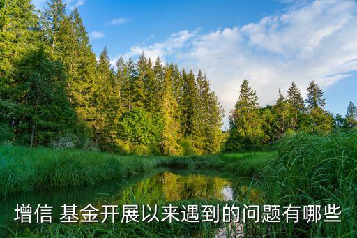 增信 基金開展以來(lái)遇到的問題有哪些