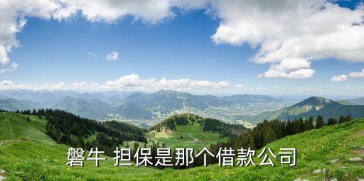 廈門磐融融資擔(dān)保有限公司,廈門信誠(chéng)友達(dá)融資擔(dān)保有限公司電話