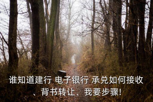 誰知道建行 電子銀行 承兌如何接收、背書轉讓、我要步驟!
