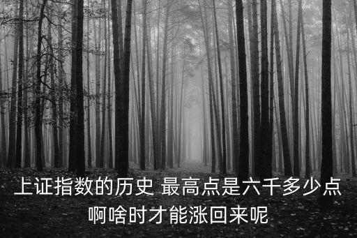 上證指數的歷史 最高點是六千多少點啊啥時才能漲回來呢