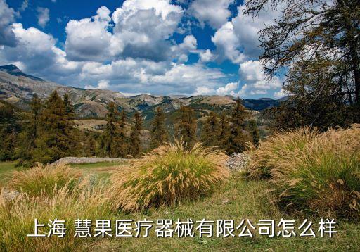 上?；酃悄?上海同果智能科技