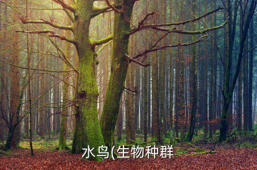 什么是銀行公信類(lèi)合作機(jī)構(gòu)管理