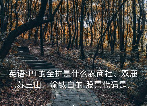 英語:PT的全拼是什么農(nóng)商社、雙鹿,蘇三山、渝鈦白的 股票代碼是...