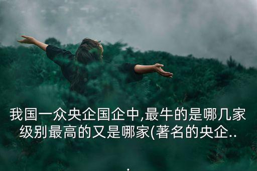 我國一眾央企國企中,最牛的是哪幾家級(jí)別最高的又是哪家(著名的央企...