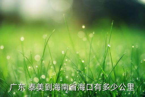 廣東 泰美到海南省?？谟卸嗌俟? class=