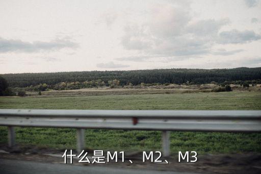 什么是M1、M2、M3