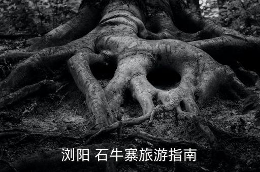 瀏陽(yáng) 石牛寨旅游指南