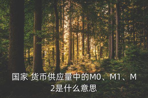 國(guó)家 貨幣供應(yīng)量中的M0、M1、M2是什么意思